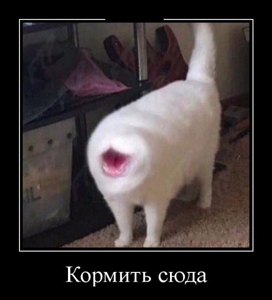 Демотиваторы