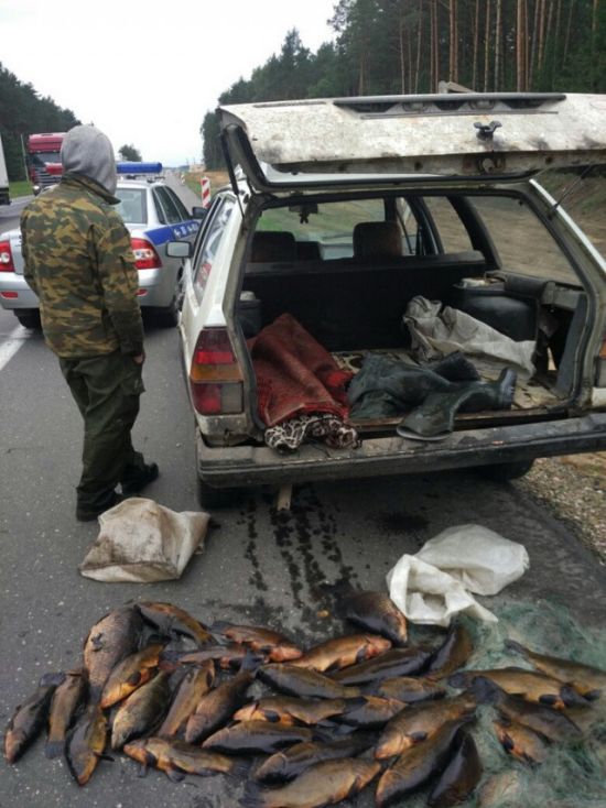 Белорусские ГАИшники устроили погоню за браконьером