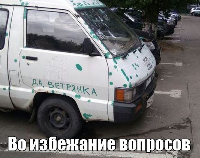 Прикольные картинки
