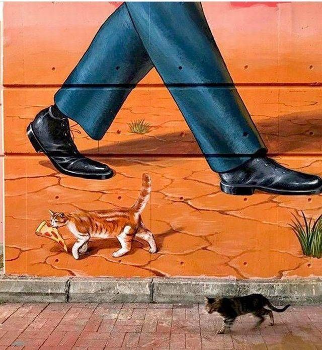 Прикольные картинки