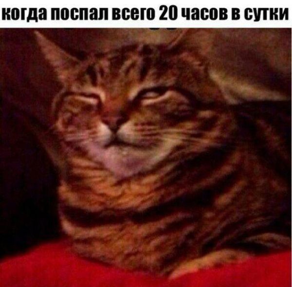 Приколы в стиле «когда...»