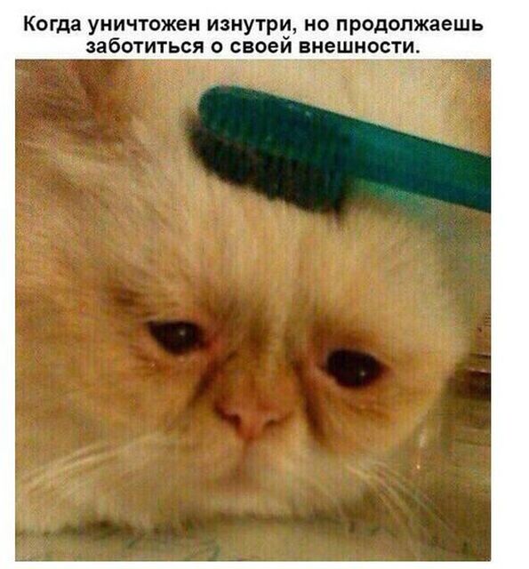 Приколы в стиле «когда...»