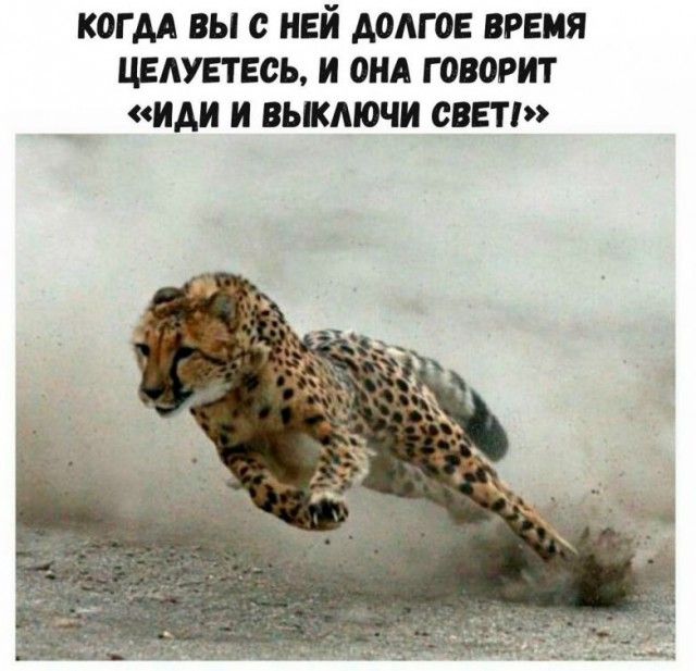 Приколы в стиле «когда...»