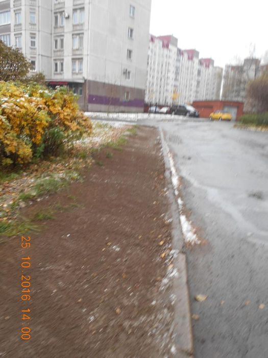 В Санкт-Петербурге во дворе одного из домов идет война за газон