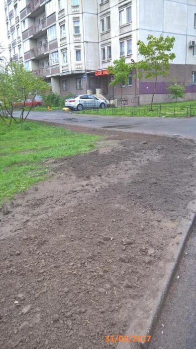 В Санкт-Петербурге во дворе одного из домов идет война за газон