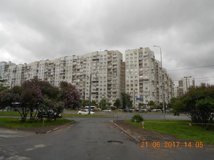 В Санкт-Петербурге во дворе одного из домов идет война за газон