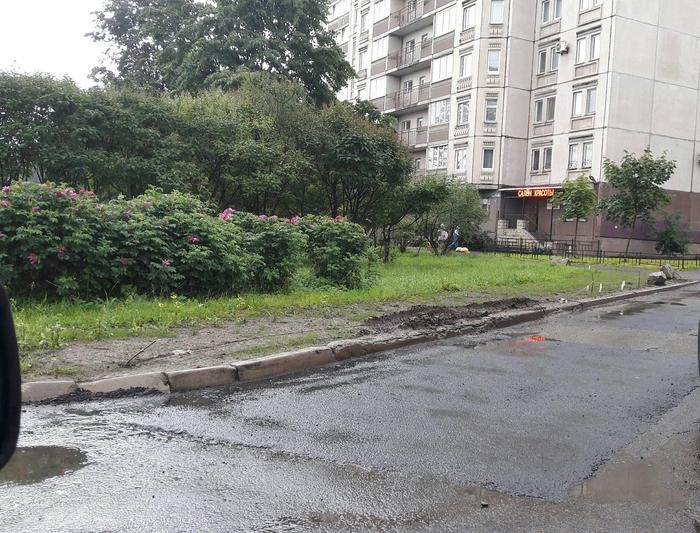 В Санкт-Петербурге во дворе одного из домов идет война за газон