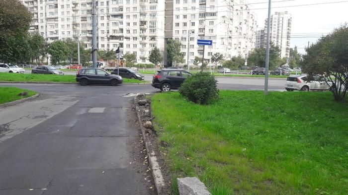 В Санкт-Петербурге во дворе одного из домов идет война за газон