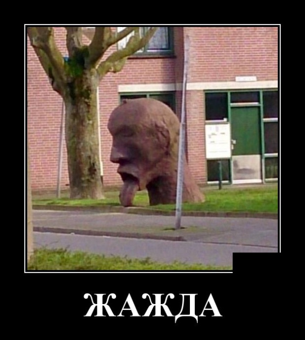 Демотиваторы