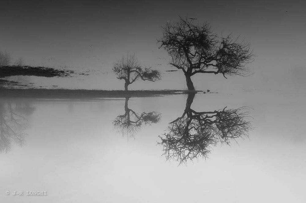 Победители конкурса лучших фотографий года из Instagram Победители конкурса лучших фотографий года из Instagram