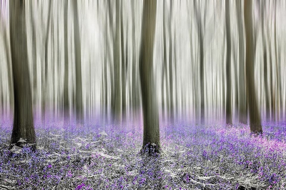 Победители конкурса лучших фотографий года из Instagram Победители конкурса лучших фотографий года из Instagram