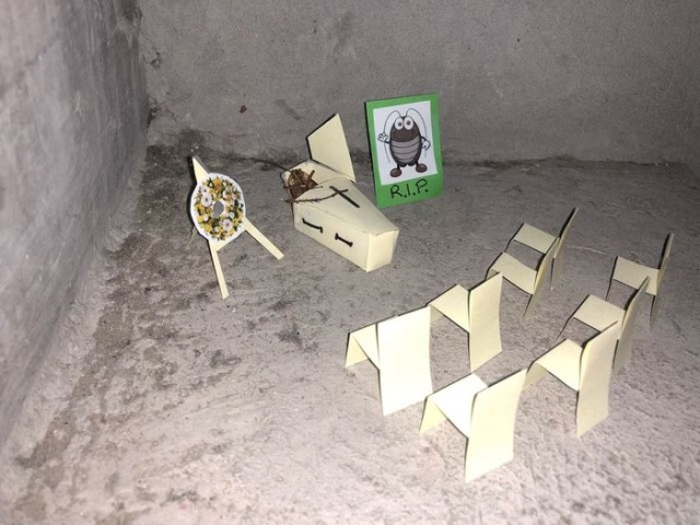 История одного мертвого таракан на лестнице