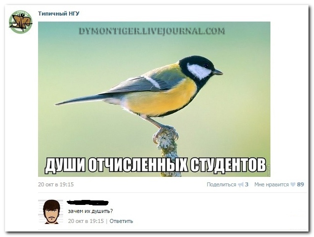 Смешные комментарии из социальных сетей