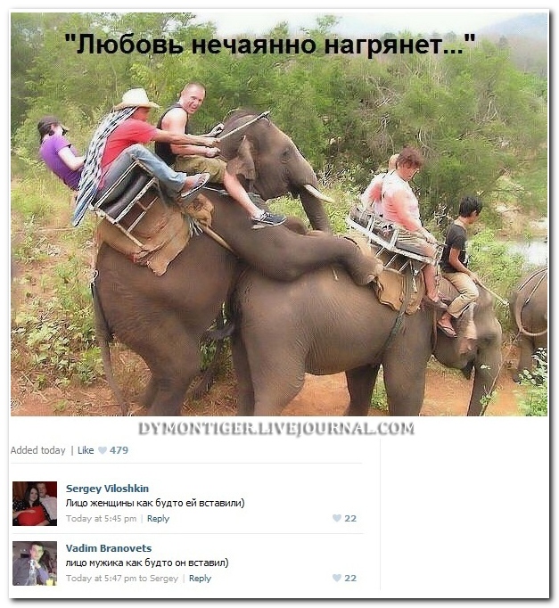 Смешные комментарии из социальных сетей