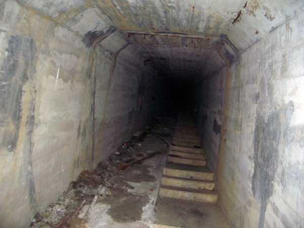Жуткие картинки