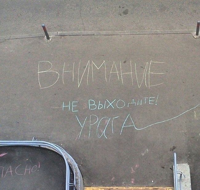 Порция картинок