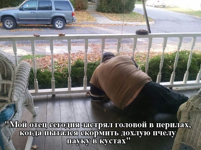 Порция картинок Порция картинок