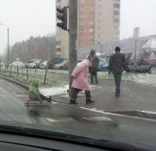 Прикольные картинки
