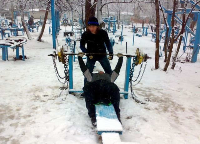 Прикольные картинки