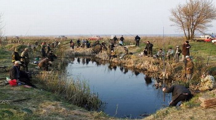 Прикольные картинки (77 фото)