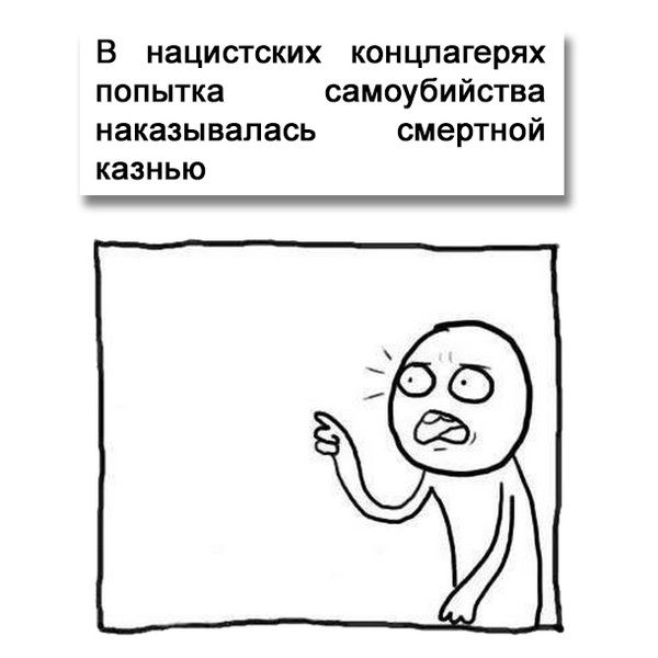 Прикольные картинки (77 фото)