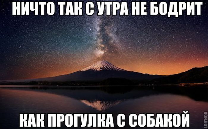 Прикольные картинки (77 фото)