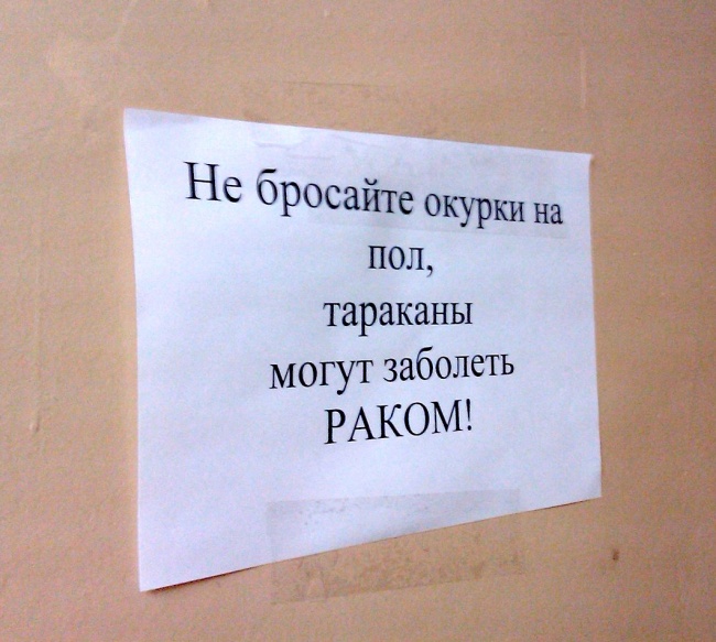 Веселая жизнь общажная :)