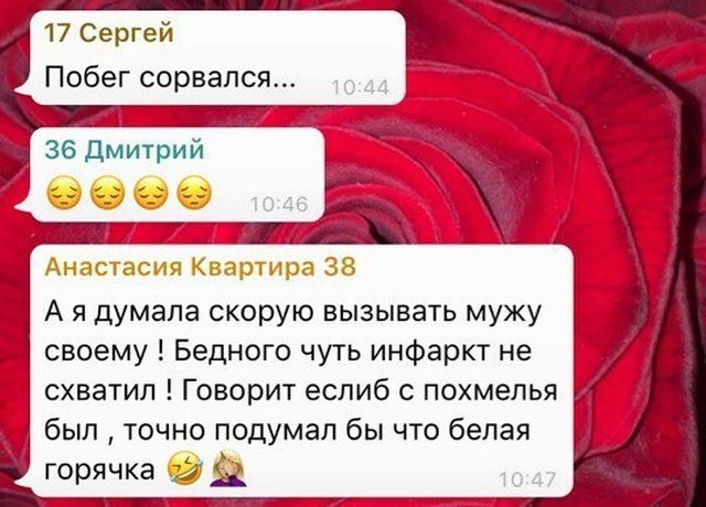 Как норка путешествовала по канализационной трубе