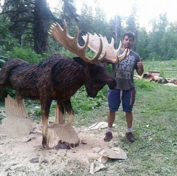 Прикольные картинки