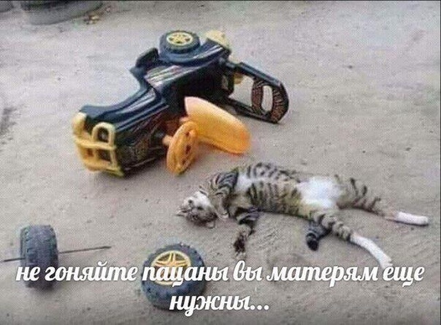Странный юмор с просторов сети