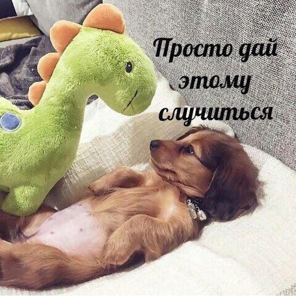 Странный юмор с просторов сети
