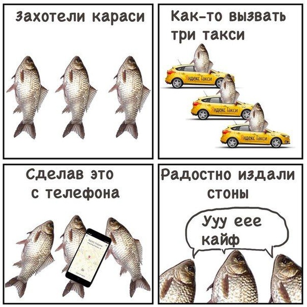 Странный юмор с просторов сети