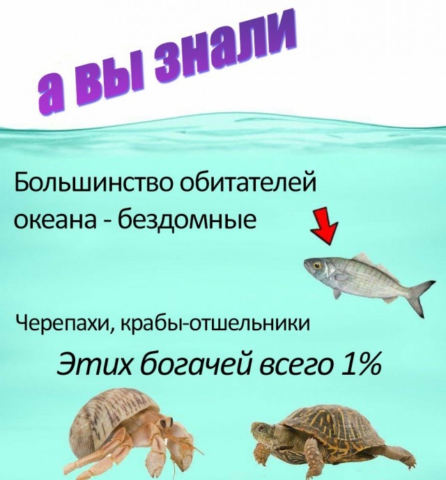 "Волна деградации" из социальных сетей