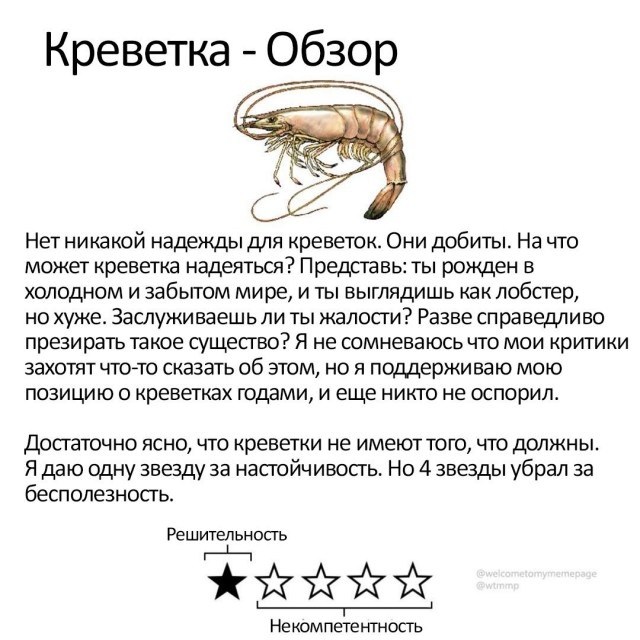 "Волна деградации" из социальных сетей
