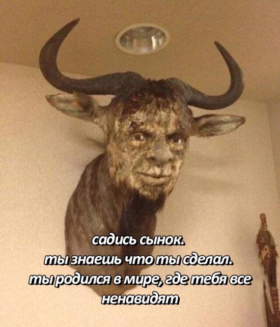 "Волна деградации" из социальных сетей