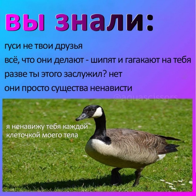 "Волна деградации" из социальных сетей