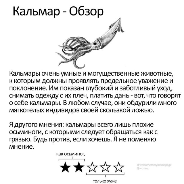 "Волна деградации" из социальных сетей