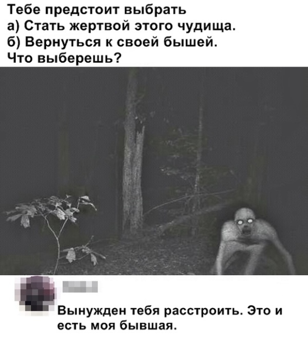 Прикольные картинки