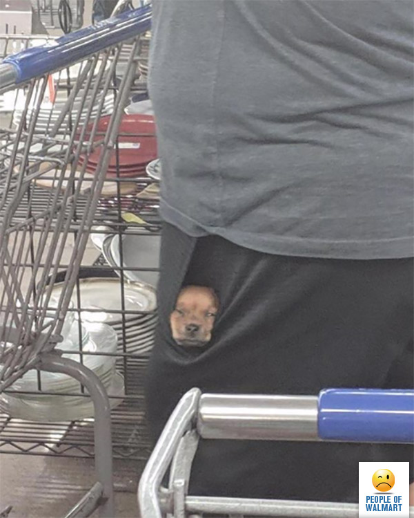 Экстравагантные покупатели Walmart