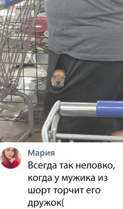 Смешные высказывания и комментарии в социальных сетях