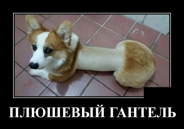 Демотиваторы