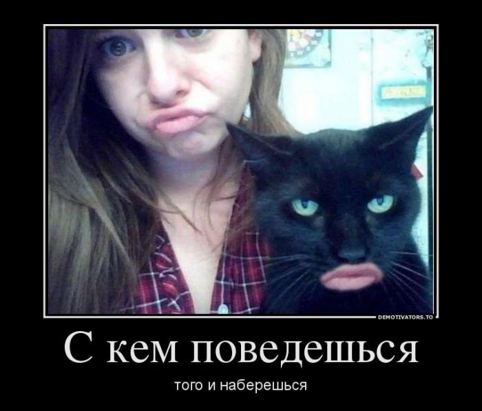 Демотиваторы