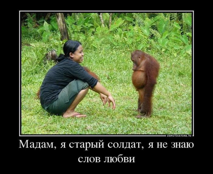 Демотиваторы