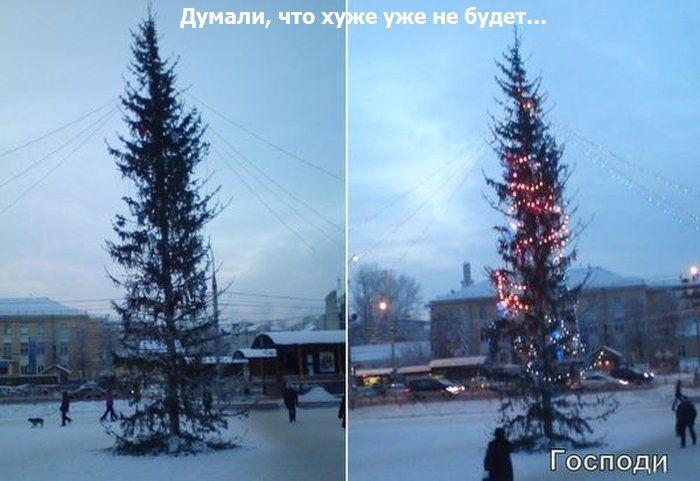 Прикольные картинки