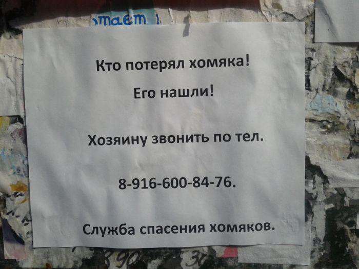 Прикольные картинки