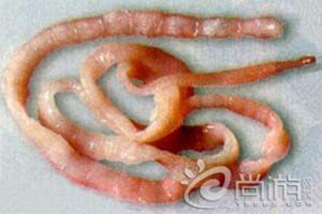 Китайский бутерброд (6 фото)