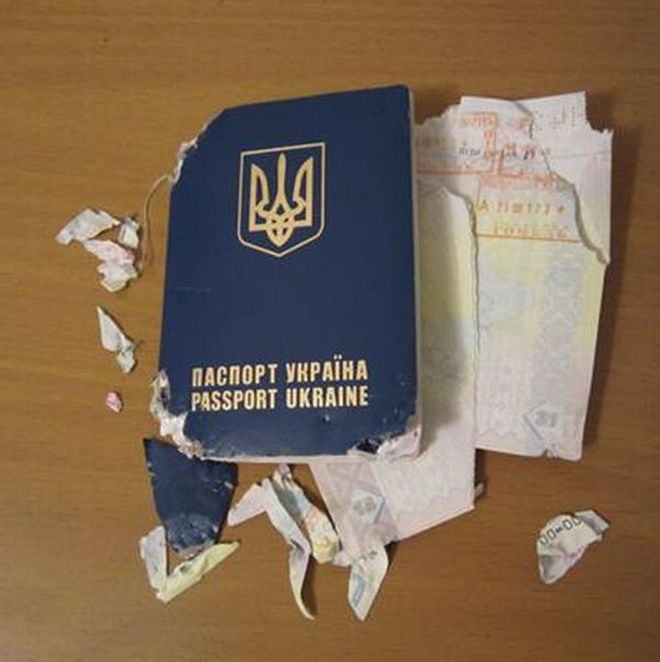 Собака решила отомстить (4 фото)