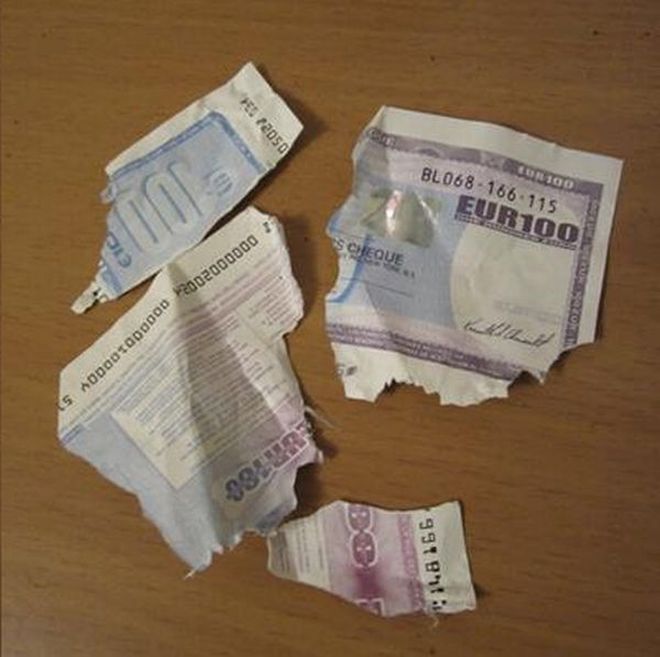 Собака решила отомстить (4 фото)