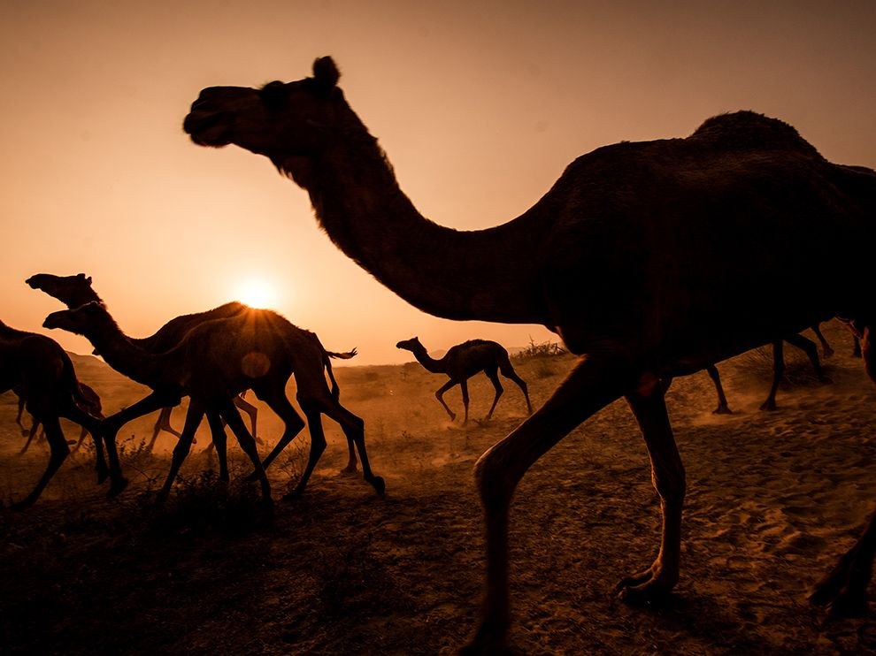 National Geographic: лучшие фотографии декабря National Geographic: лучшие фотографии декабря