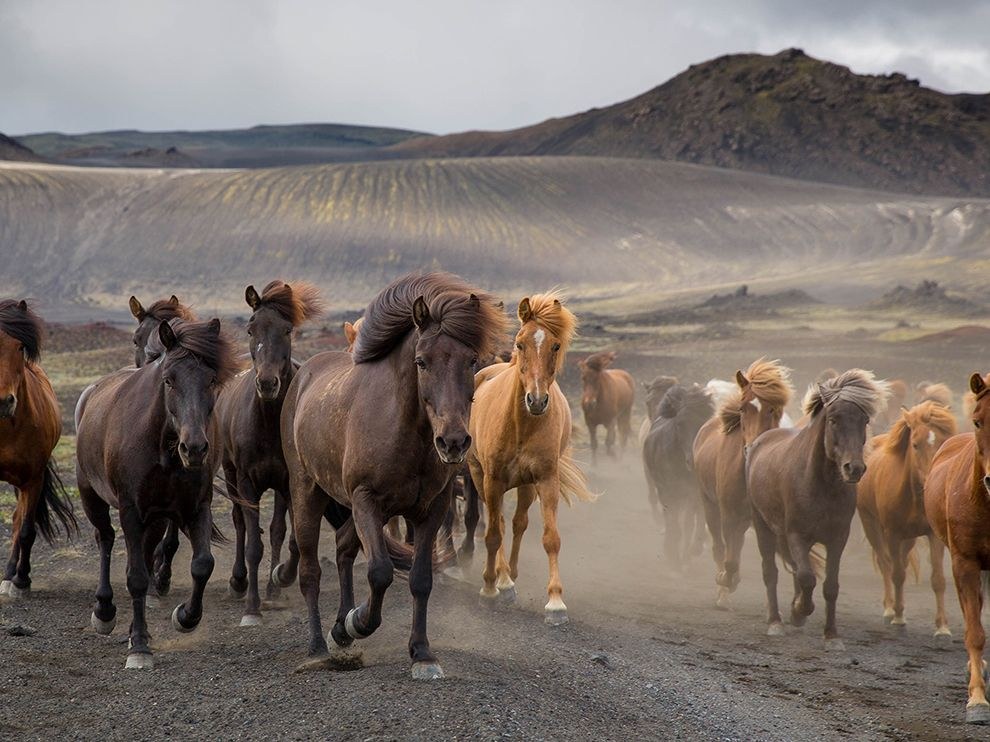 National Geographic: лучшие фотографии декабря National Geographic: лучшие фотографии декабря